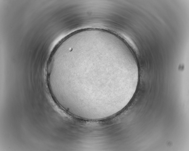 X0000090430944200708102002