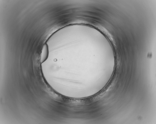 X0000090430945200708102002