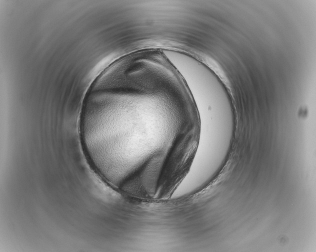 X0000090430946200708102002