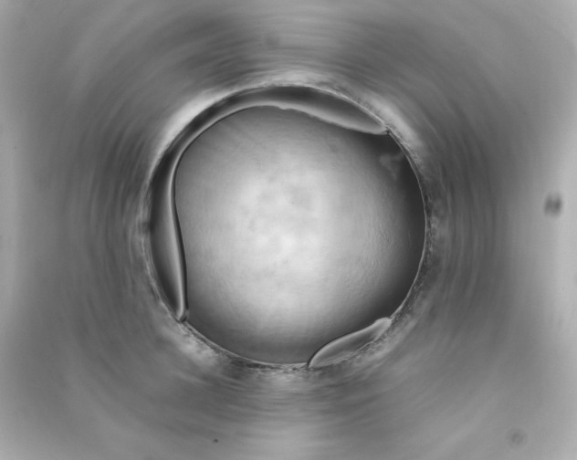 X0000090430948200708102002
