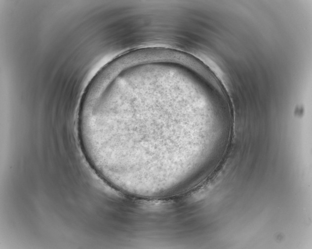 X0000090430949200708102002