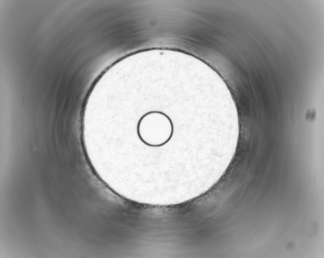 X0000090430950200708102002