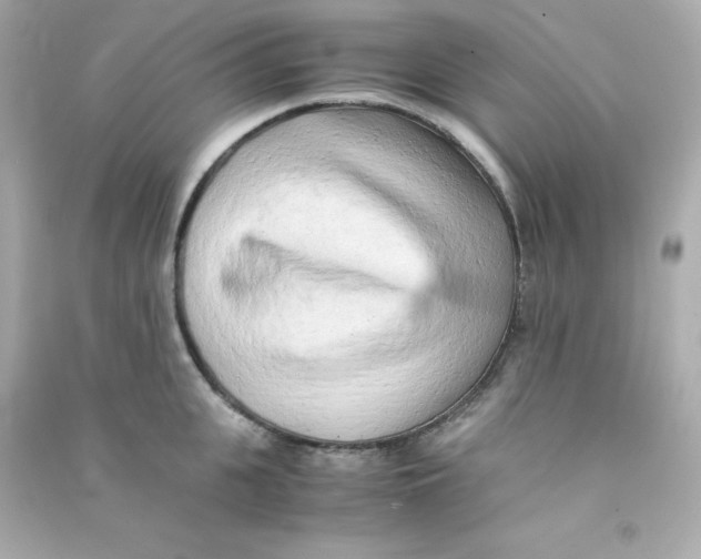 X0000090430951200708102002