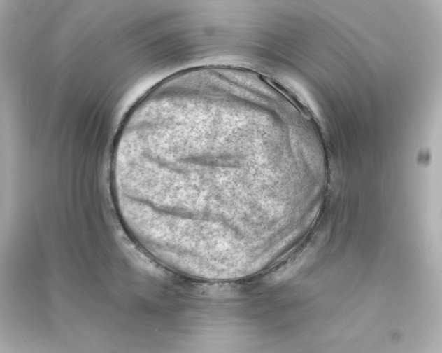 X0000090430952200708102002