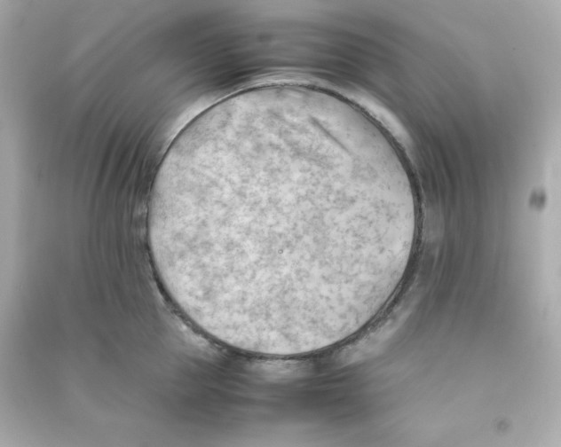 X0000090430953200708102002