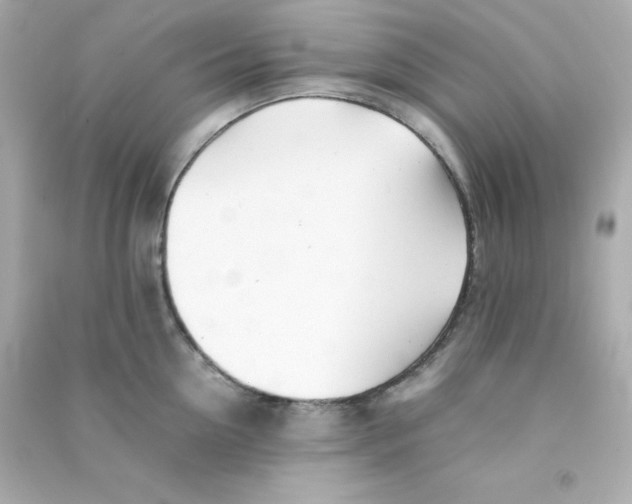 X0000090430954200708102002