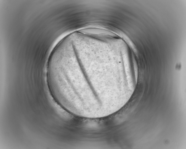 X0000090430955200708102002