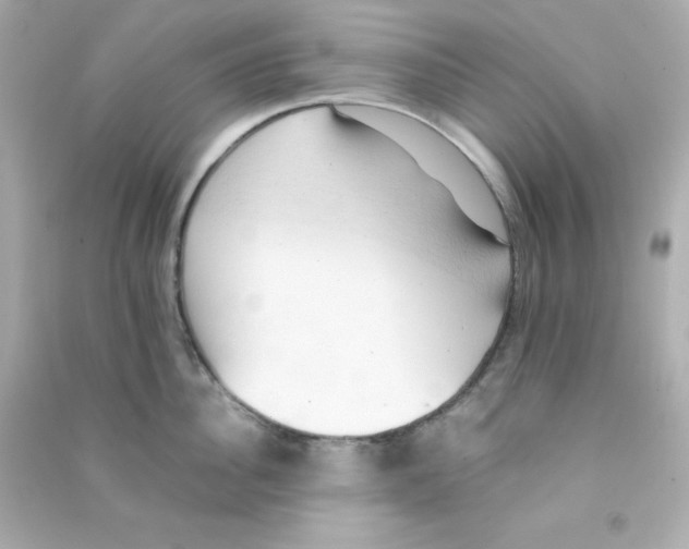 X0000090430956200708102002