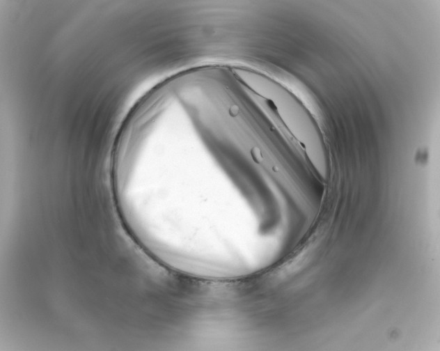 X0000090430958200708102002