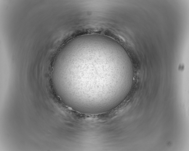 X0000090430961200708102001