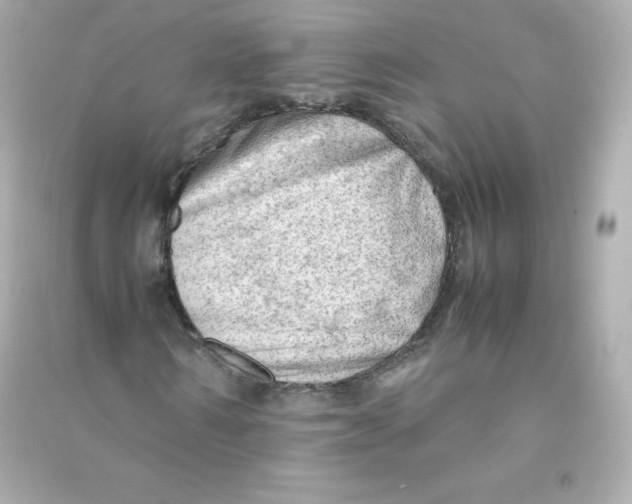 X0000090430962200708102001