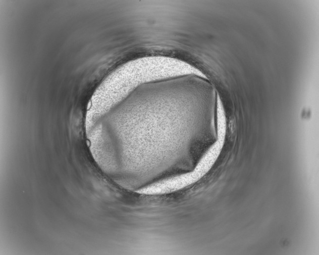 X0000090430963200708102001