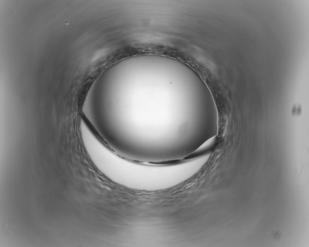 X0000090430965200708102001