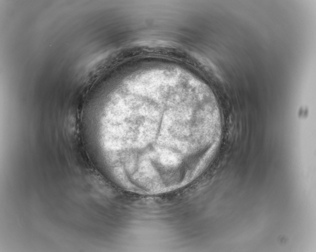 X0000090430966200708102001
