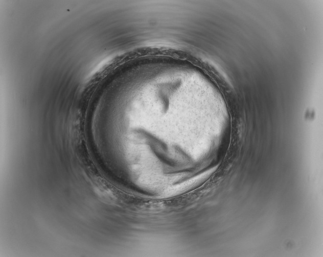 X0000090430968200708102001
