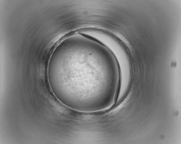 X0000090430969200708102001