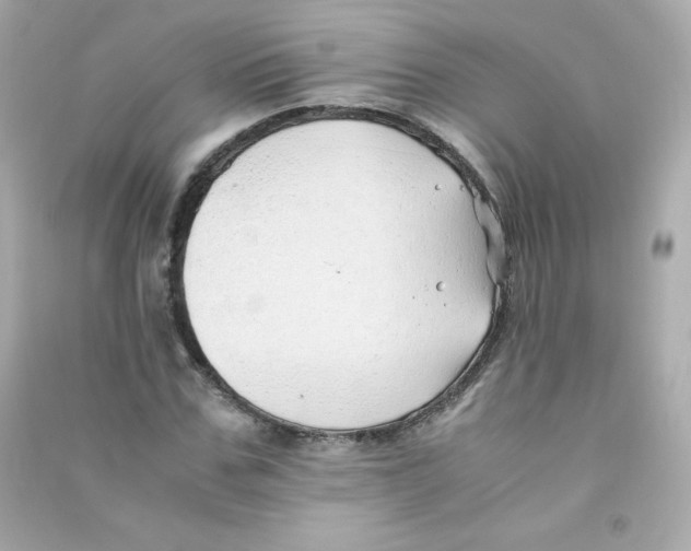 X0000090430971200708102001