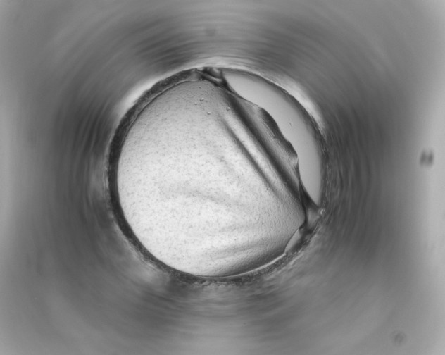 X0000090430972200708102001