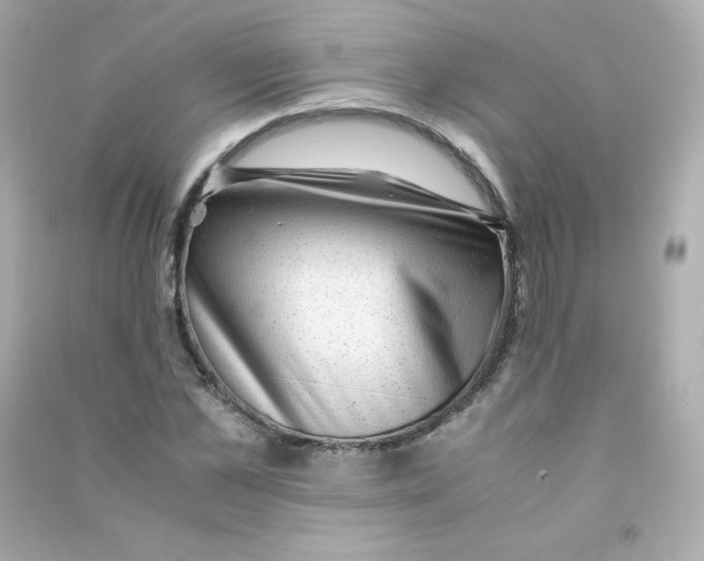 X0000090430973200708102001