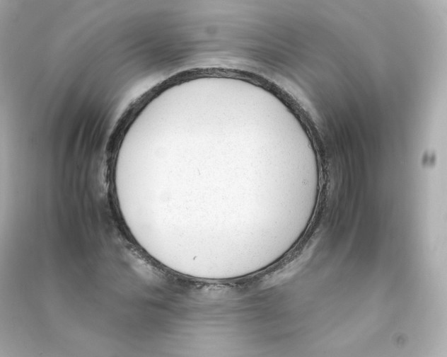 X0000090430974200708102001