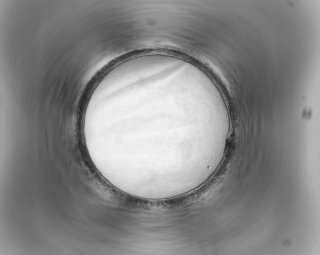 X0000090430975200708102001