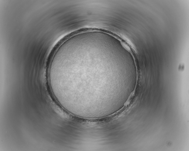X0000090430976200708102001