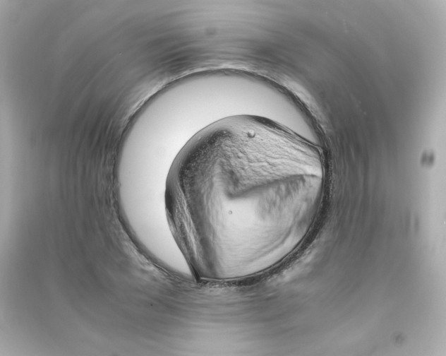 X0000090430977200708102001