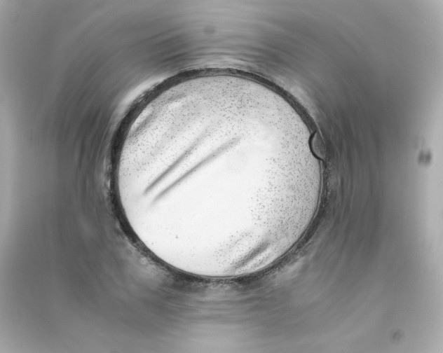 X0000090430979200708102001