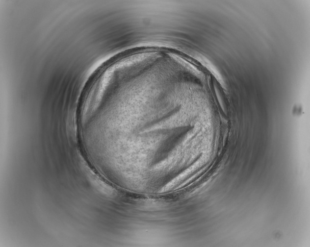 X0000090430980200708102001