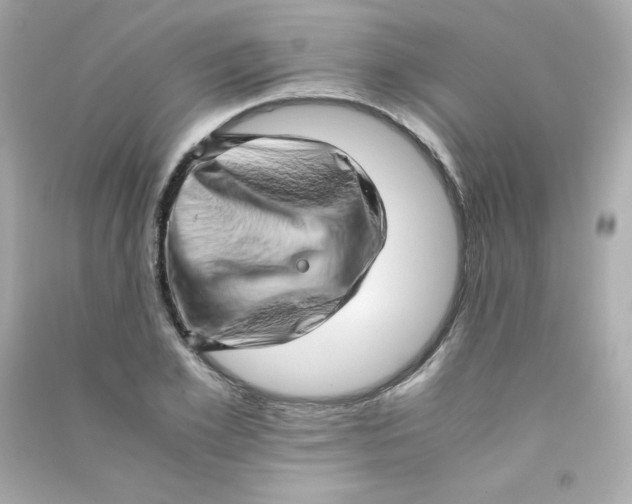 X0000090430981200708102001