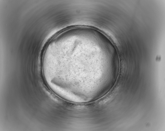 X0000090430982200708102001