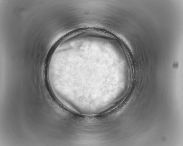 X0000090430983200708102001