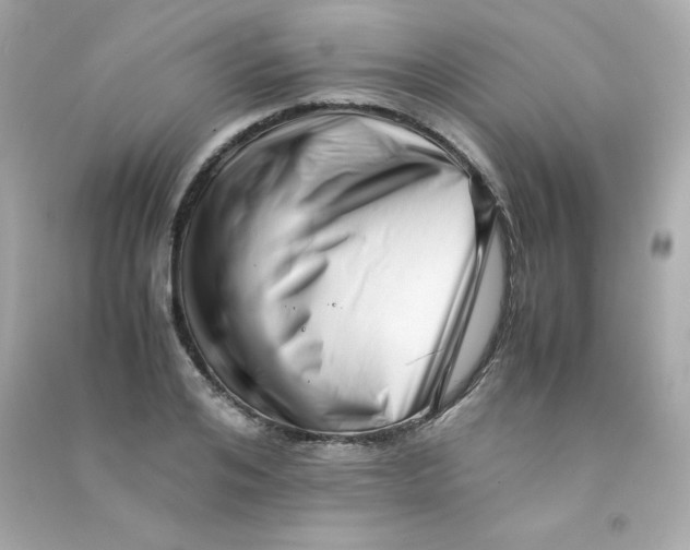 X0000090430984200708102001