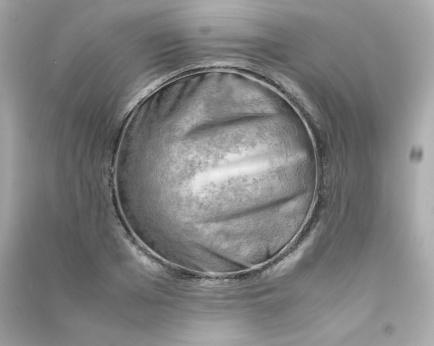 X0000090430985200708102001