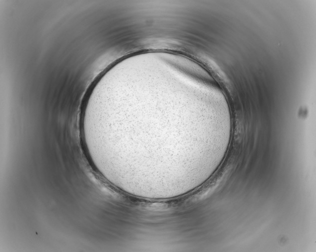 X0000090430986200708102001