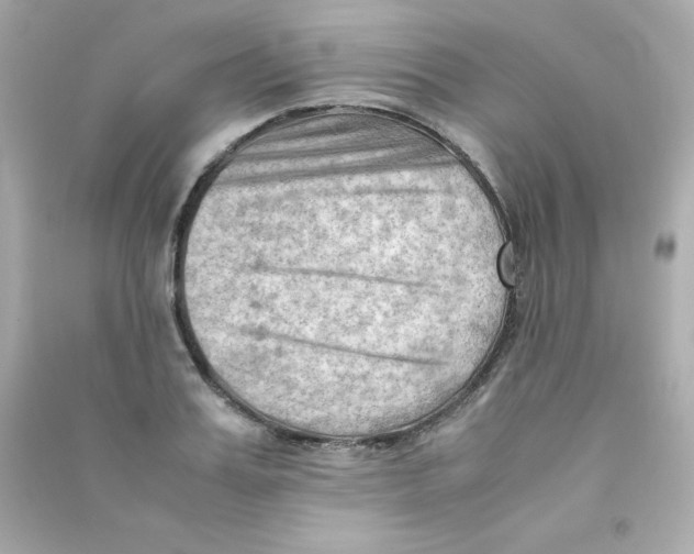 X0000090430987200708102001