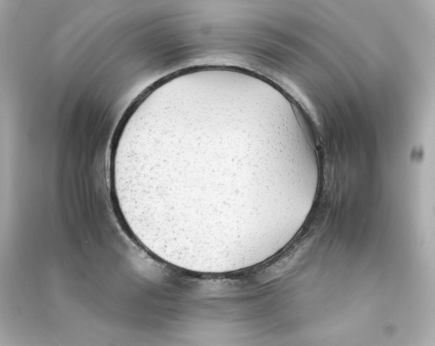 X0000090430988200708102001