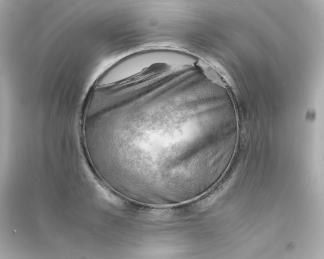 X0000090430989200708102001