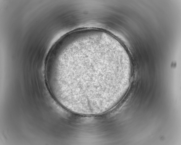 X0000090430990200708102001