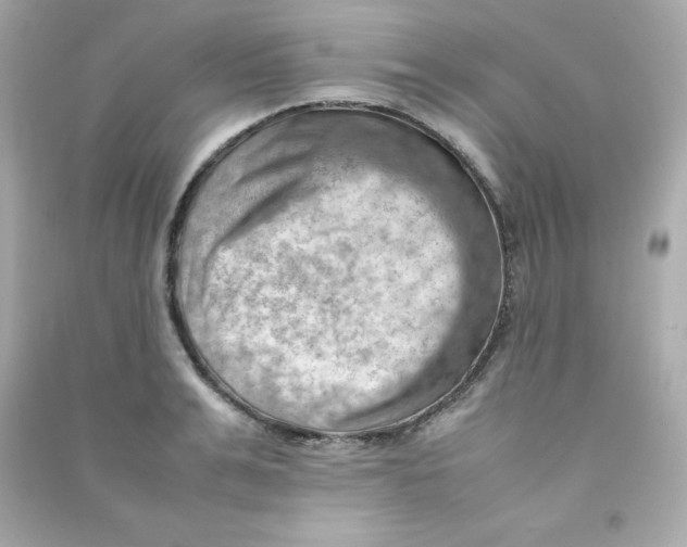 X0000090430991200708102001