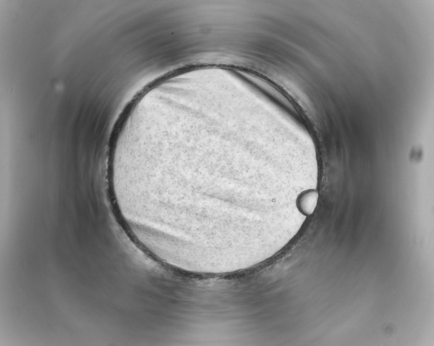 X0000090430992200708102001