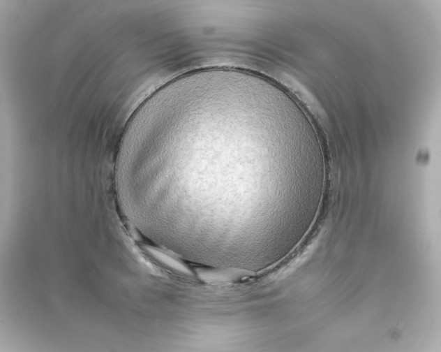 X0000090430993200708102001