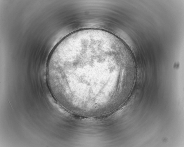 X0000090430994200708102001