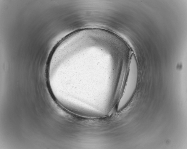 X0000090430995200708102001
