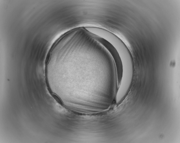 X0000090430996200708102001