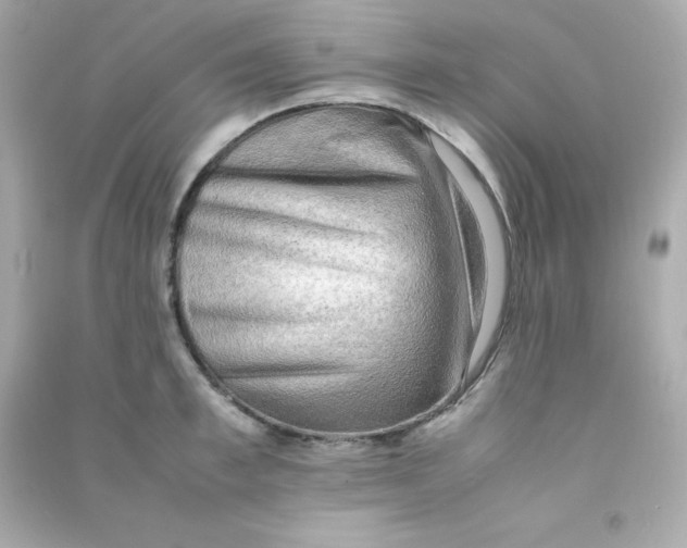 X0000090430997200708102001