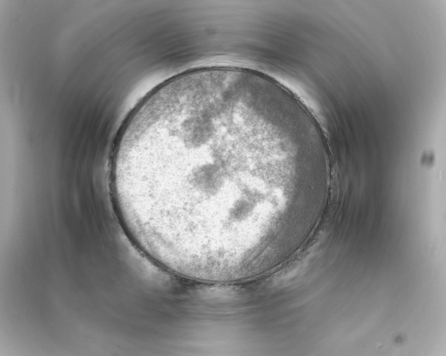 X0000090430998200708102001
