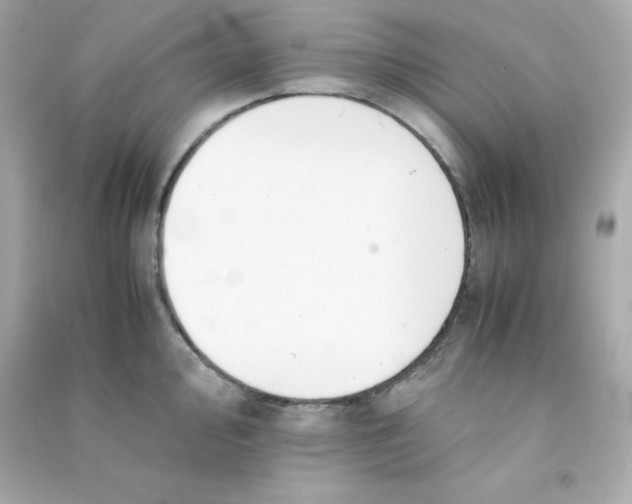 X0000090431000200708102001