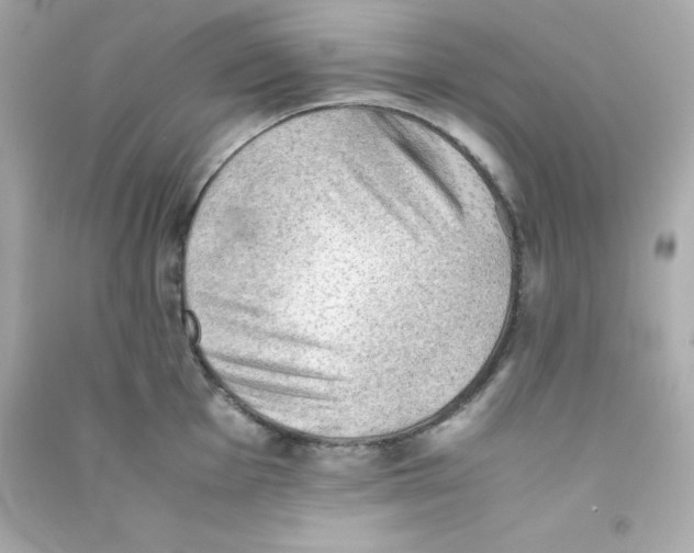 X0000090431001200708102001