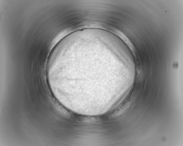 X0000090431002200708102001